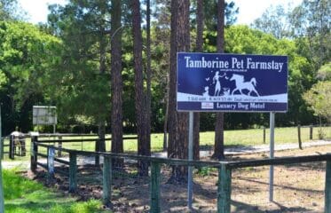 Tamborine Pet Farmstay