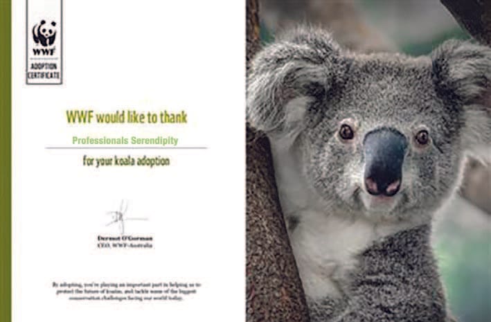 WWF Adopt a Koala