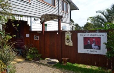 Mountain Dreams Gallery