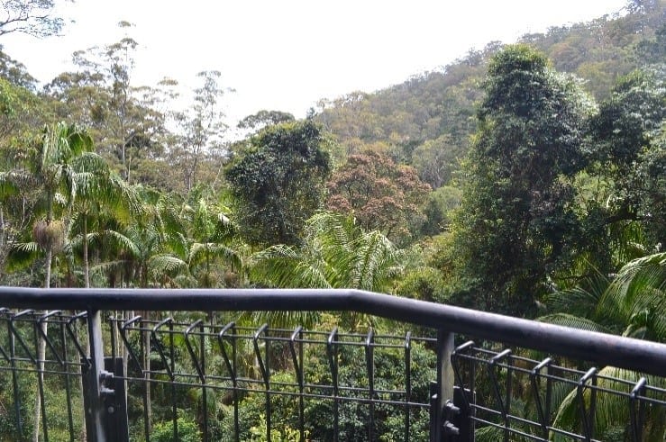 Skywalk Tamborine Mountain