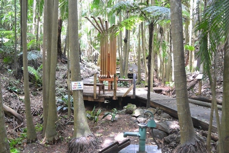 Botanical Garden Tamborine Mountain