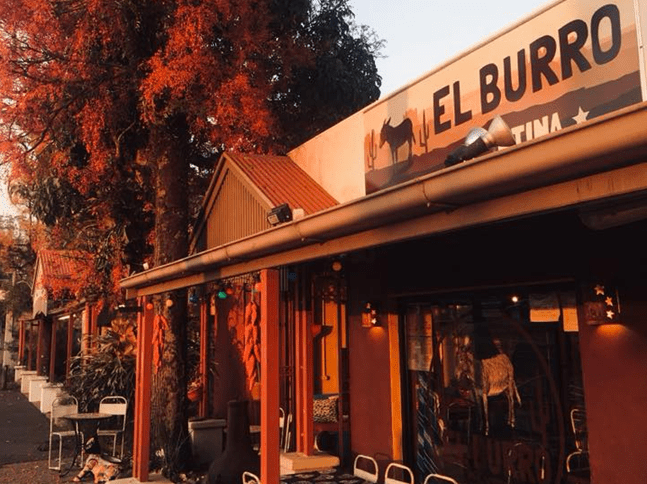 El Burro Cantina