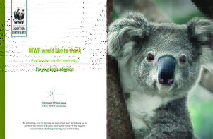 WWF Adopt a Koala