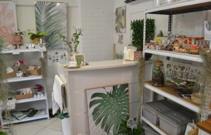 Plant Homewares