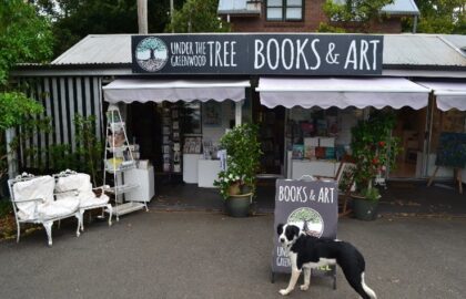 Under The Greenwood Tree Bookshop & Artspace