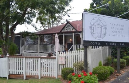 Tamborine Mountain Coffee Plantation