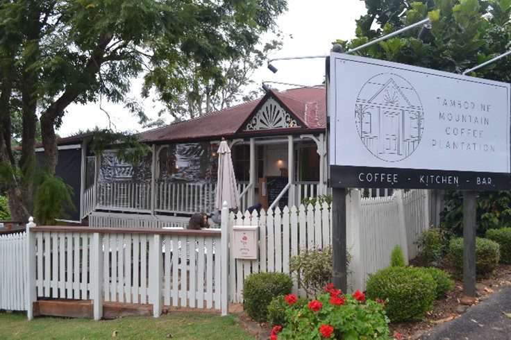 Tamborine Mountain Coffee Plantation