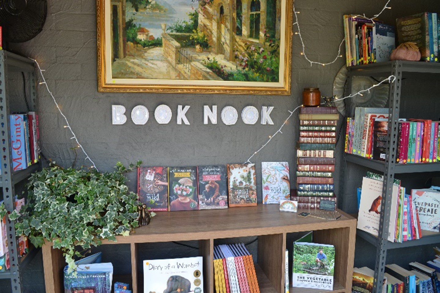 The Young Adult Section – Aila's Book Nook  Professionals Real Estate &  Property Management - Tamborine Mountain