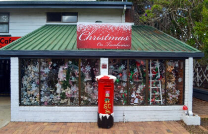 Christmas on Tamborine